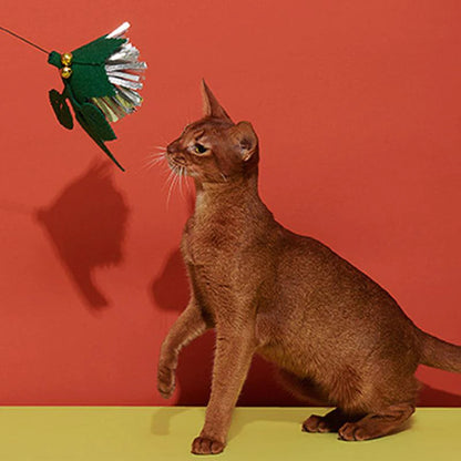 Cat Teaser
