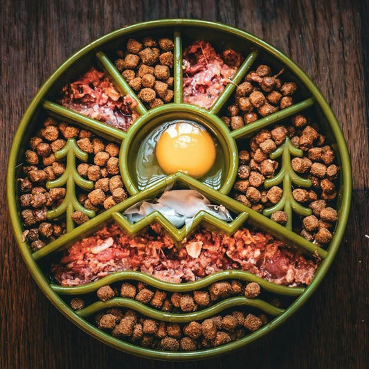 Great Outdoor Slow Feeder Bowl