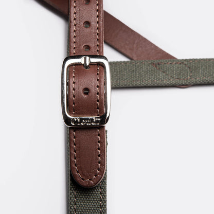Harness Tivoli