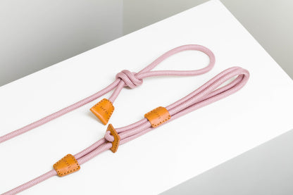 Dog Harness Ray