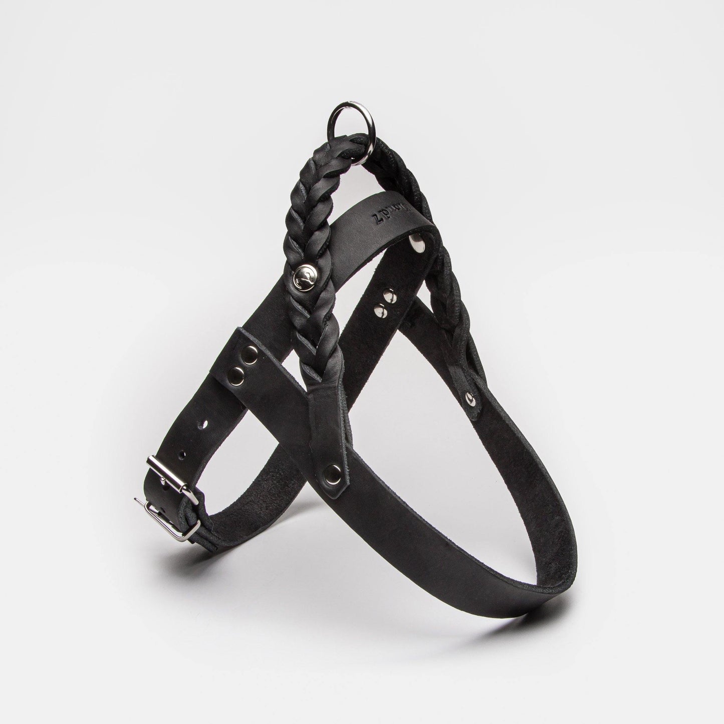 Harness Central Park