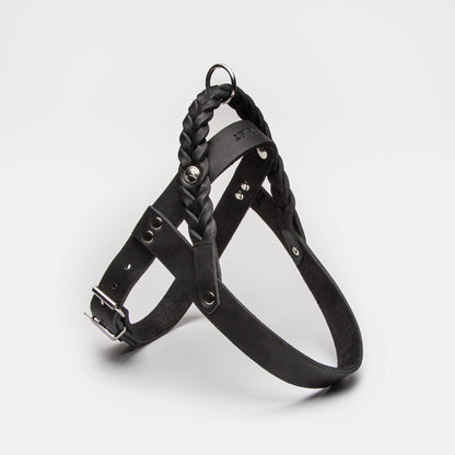 Harness Central Park