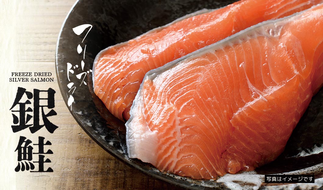 Freeze Dried Coho Salmon 40g