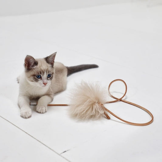 Topo Cat Toy
