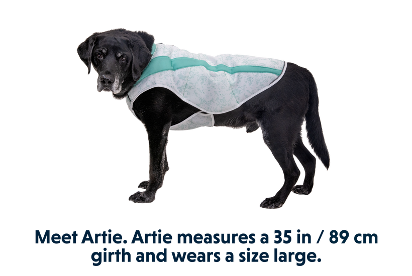 Swamp Cooler™ Cooling Pet Vest
