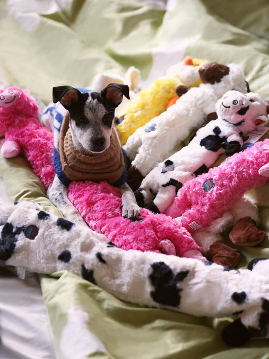 Farm Animal Long Toys