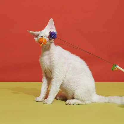 Cat Teaser