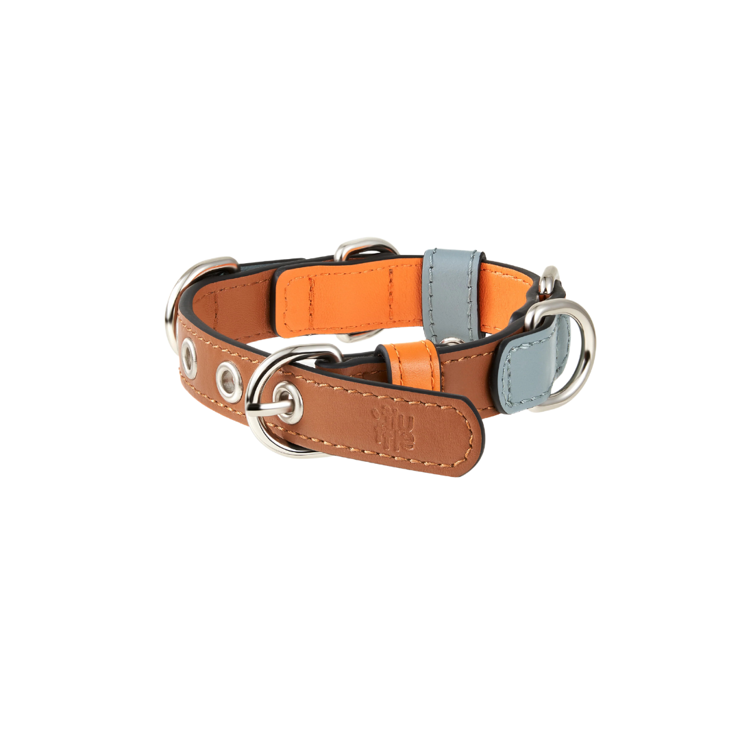 Pashmak Dog Collar