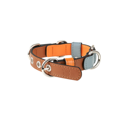 Pashmak Dog Collar
