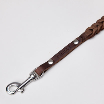 Dog Leash Central Park