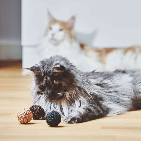 Filo Cat Toy Ball
