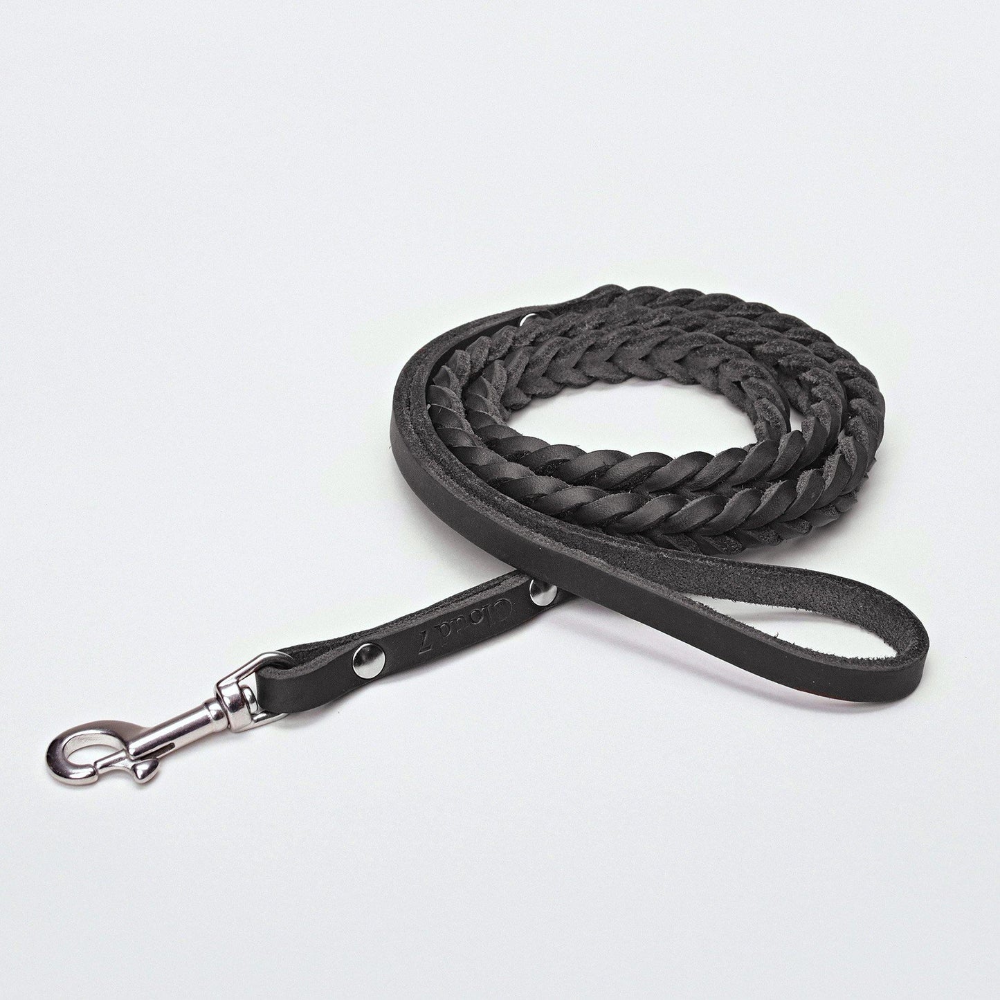 Dog Leash Central Park