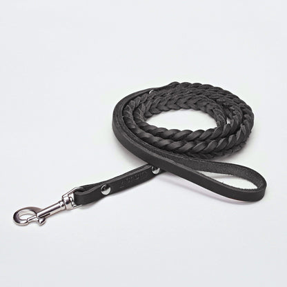 Dog Leash Central Park