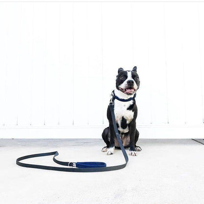 Funston Dog Collar