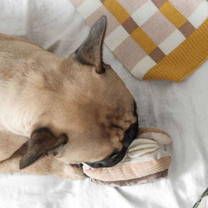 ECLAIR Squeaky + Snuffle Toy