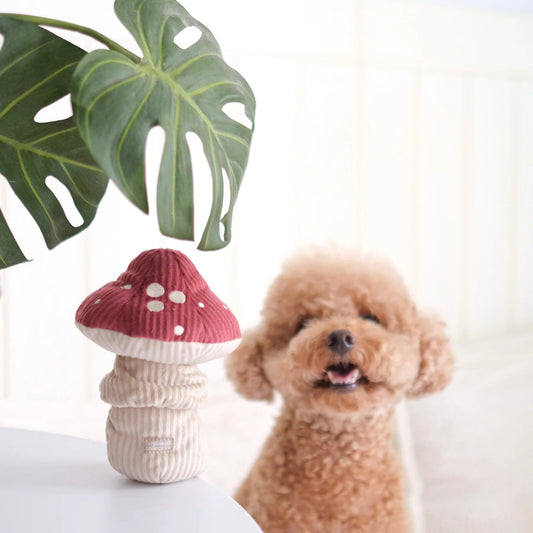 SHROOM - Snuffle Mushroom Toy