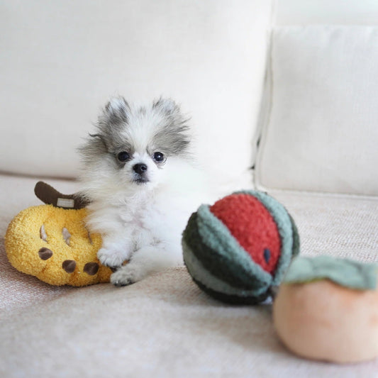Watermelon POP - Bouncy + Snuffle Toy