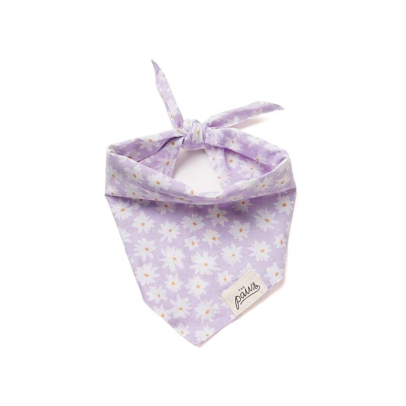 Bandanas - Belle