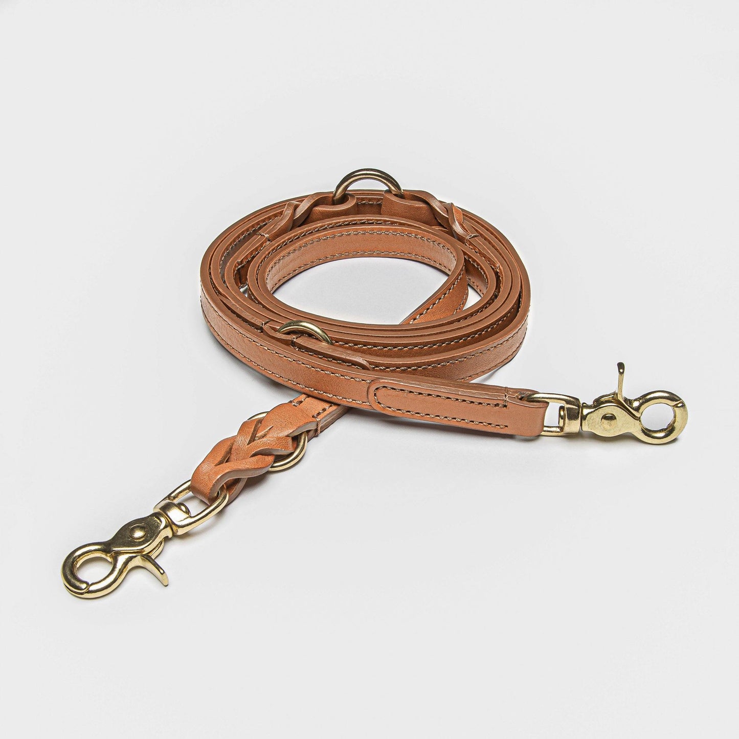 Dog Leash Hyde Park