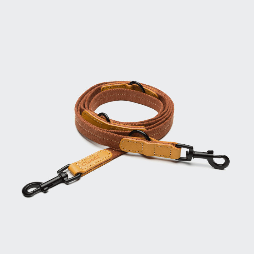 Pet Leash Madeira