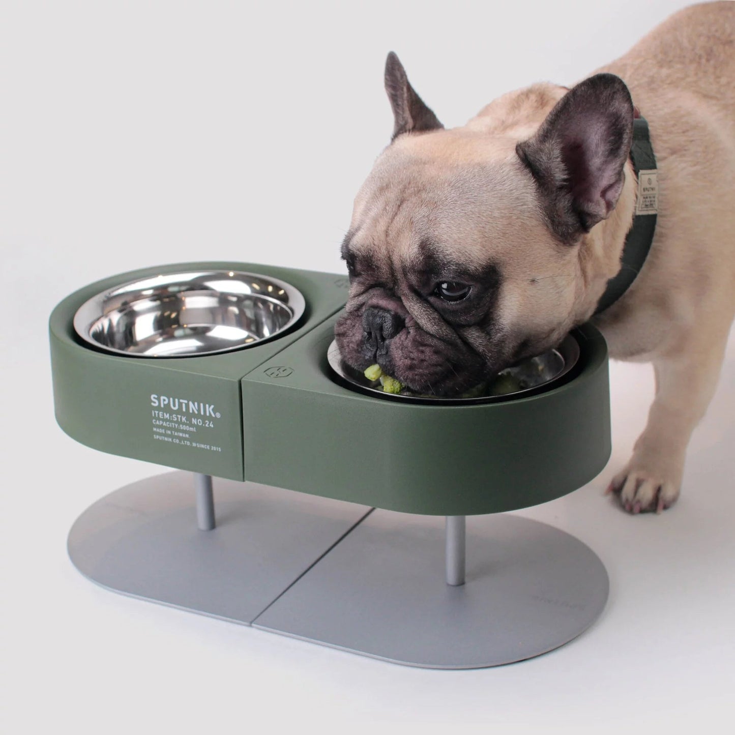 NON-ANTS Bowl (High)