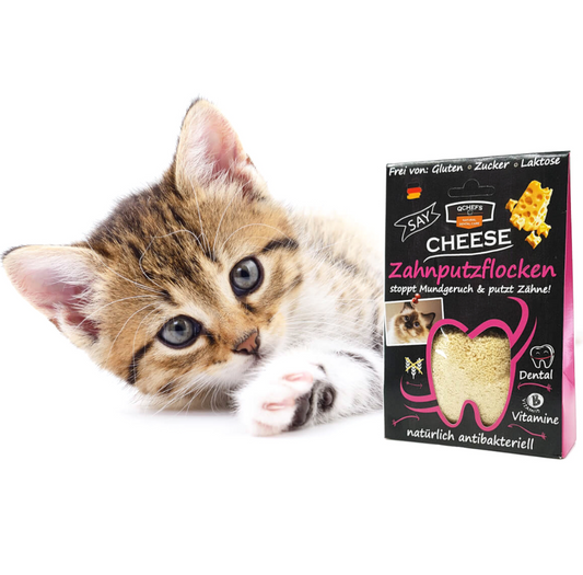 Dental Flakes for Cat