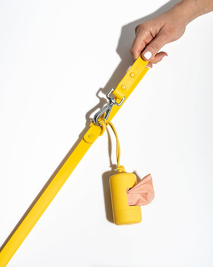 Leash - SALE