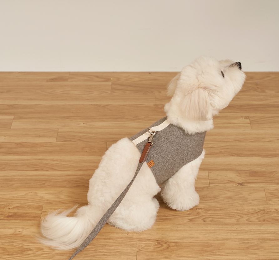 Walk Jacket Harness