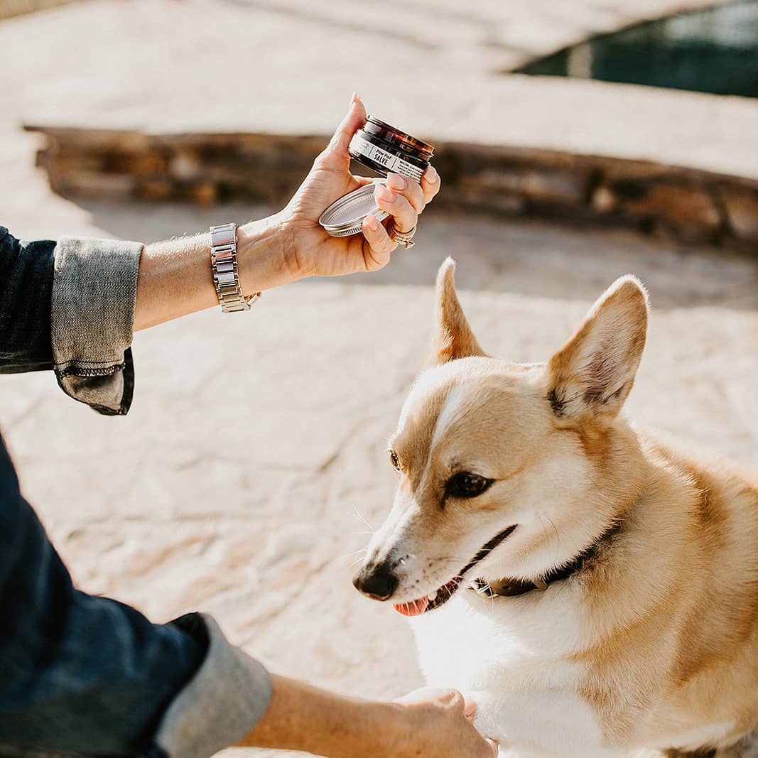 PAW PAD SALVE