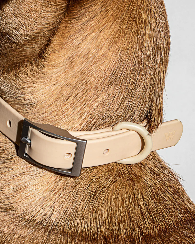 Collar - SALE
