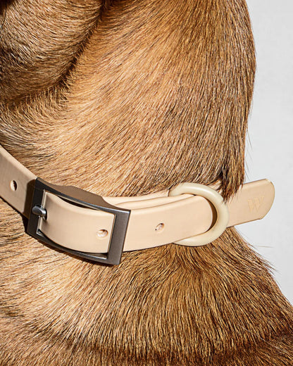 Collar - SALE