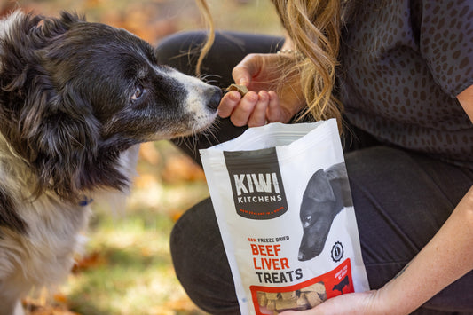 Kiwi Kitchens Raw Freeze Dried Dog Treats - Beef Liver