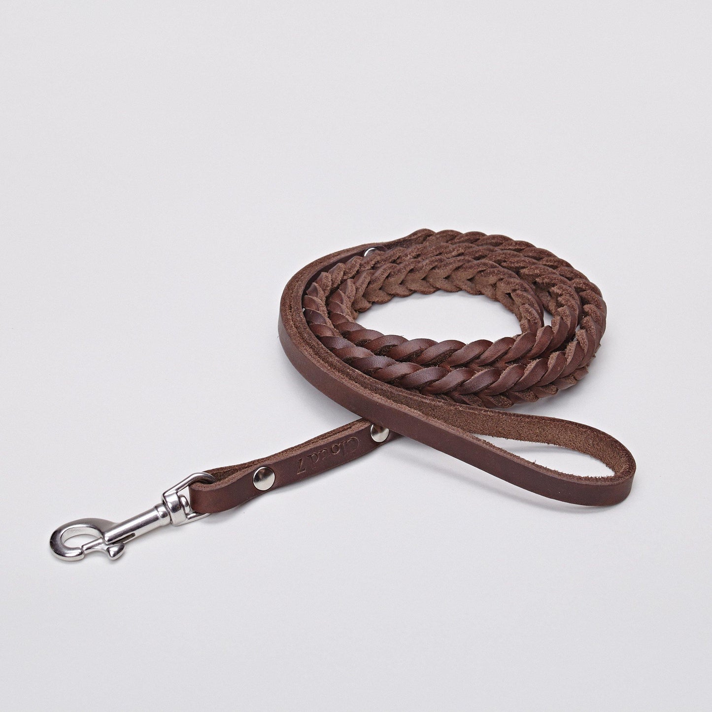 Dog Leash Central Park