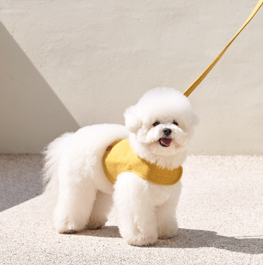 Walk Jacket Harness