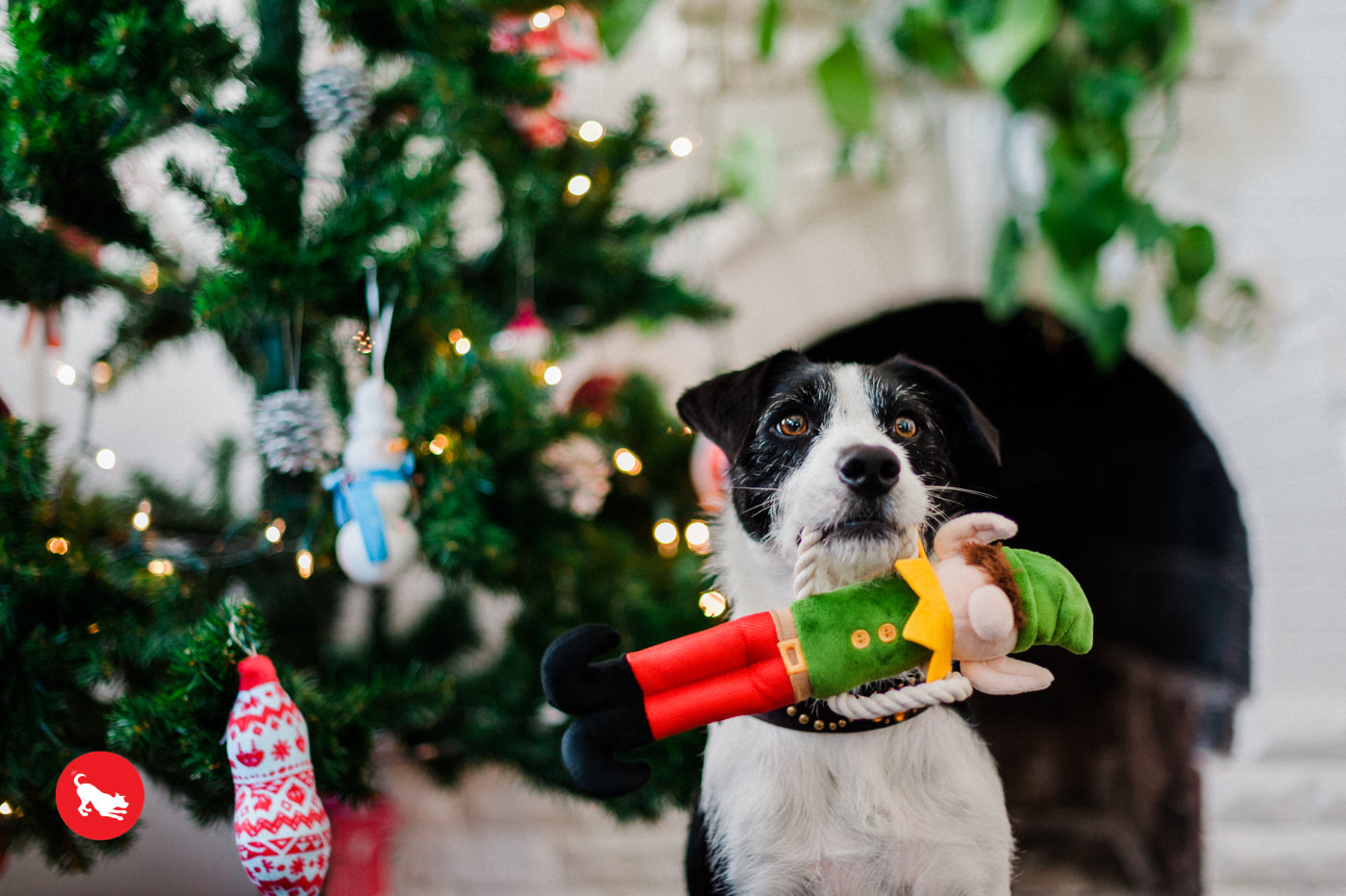Dog Plush Toy -  Merry Woofmas Collection
