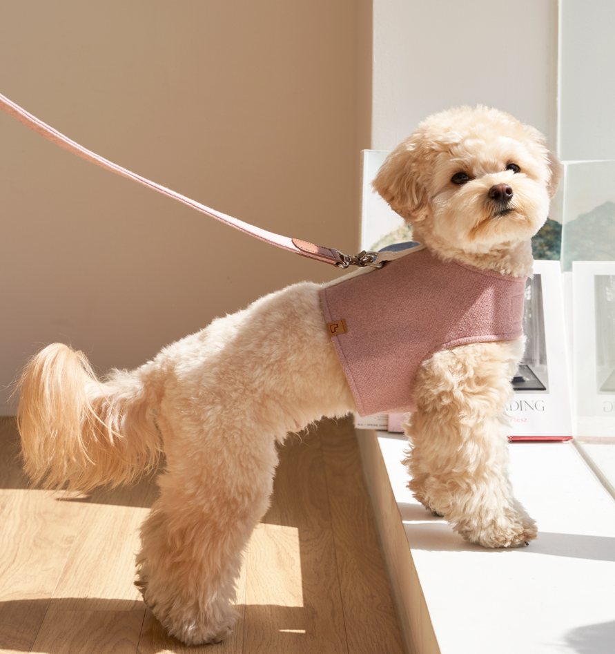 Walk Jacket Harness