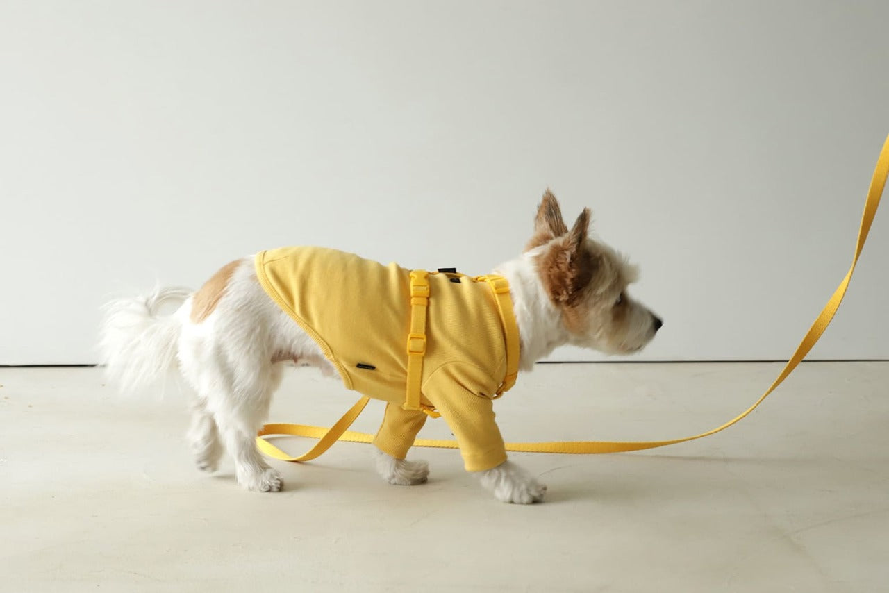 Macaron Pet Harness