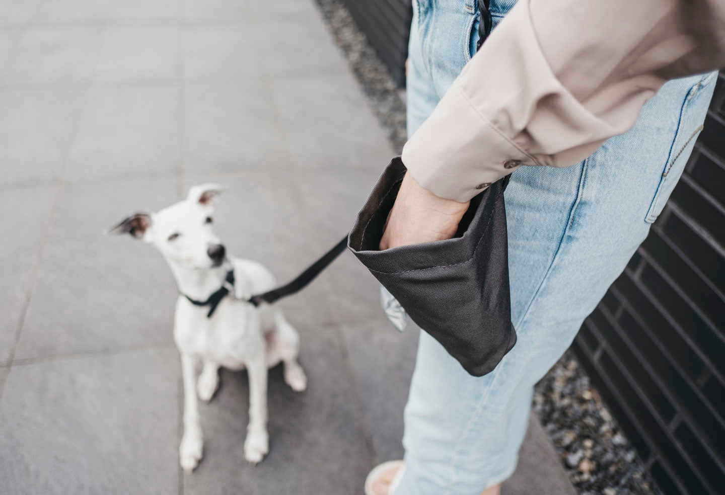 Lupo Snack Bag