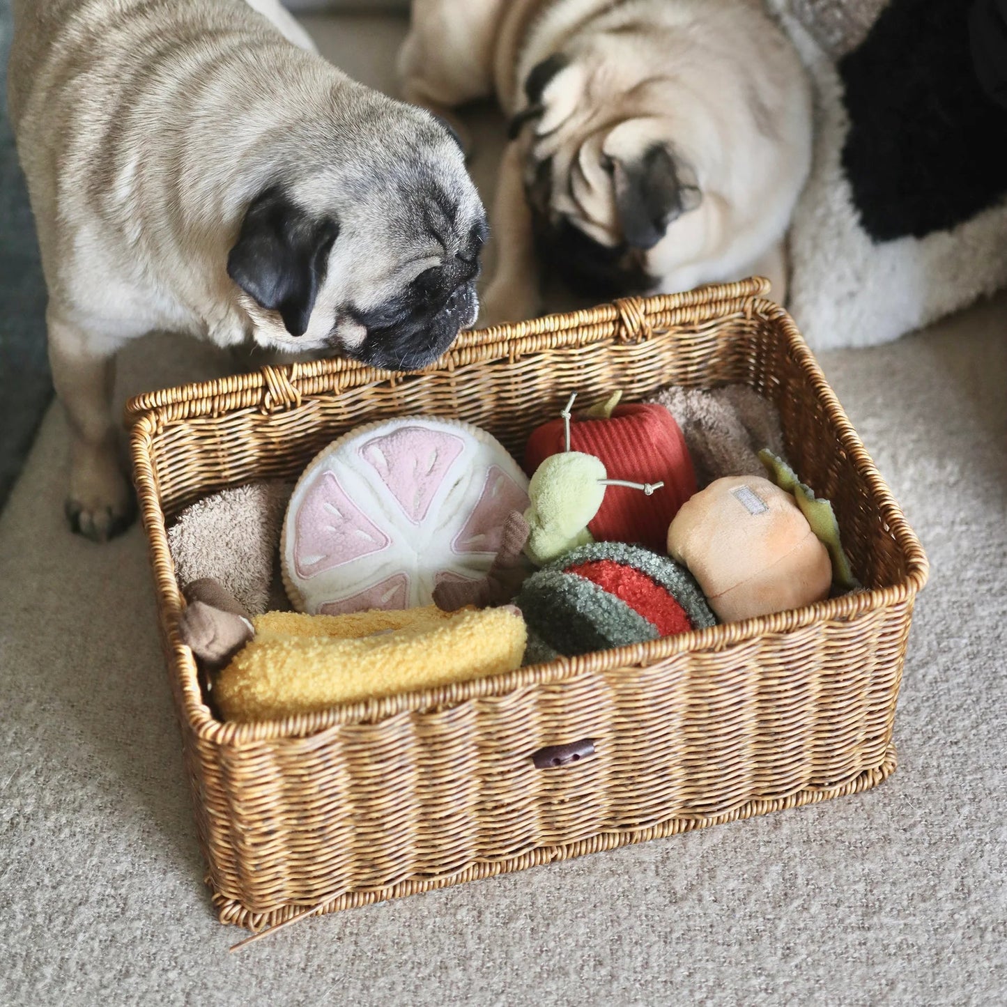 Grapefruit - Squeaky + Snuffle Toy