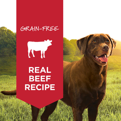 Instinct - Dog Can Food - Original Real Beef Recipe