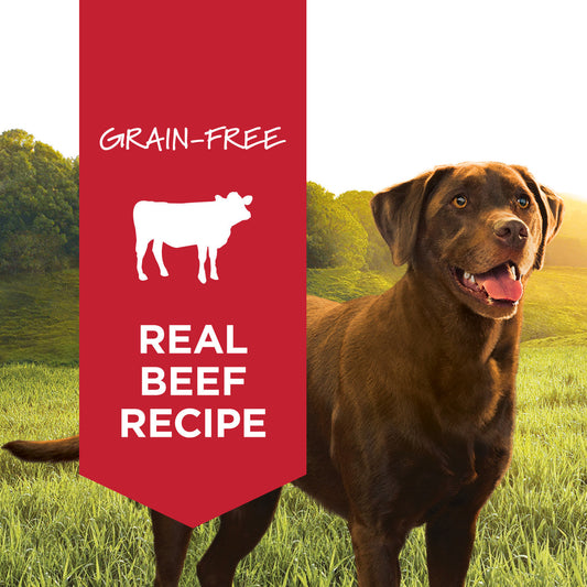 Instinct - Dog Can Food - Original Real Beef Recipe