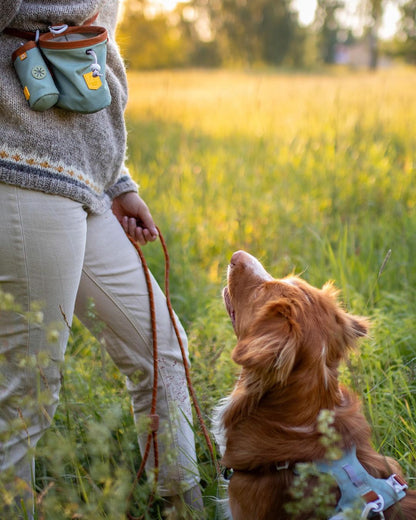 Alpha 360 Poop Bag Holder