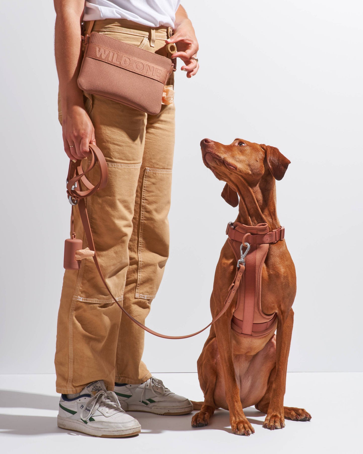Treat Pouch