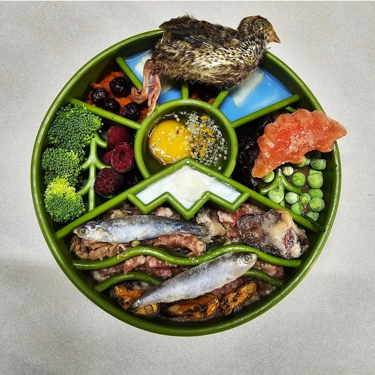 Great Outdoor Slow Feeder Bowl