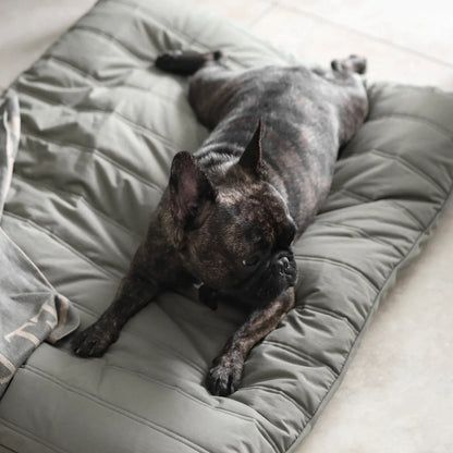 【PRE-ORDER】MAATIN low rise reversible dog bed