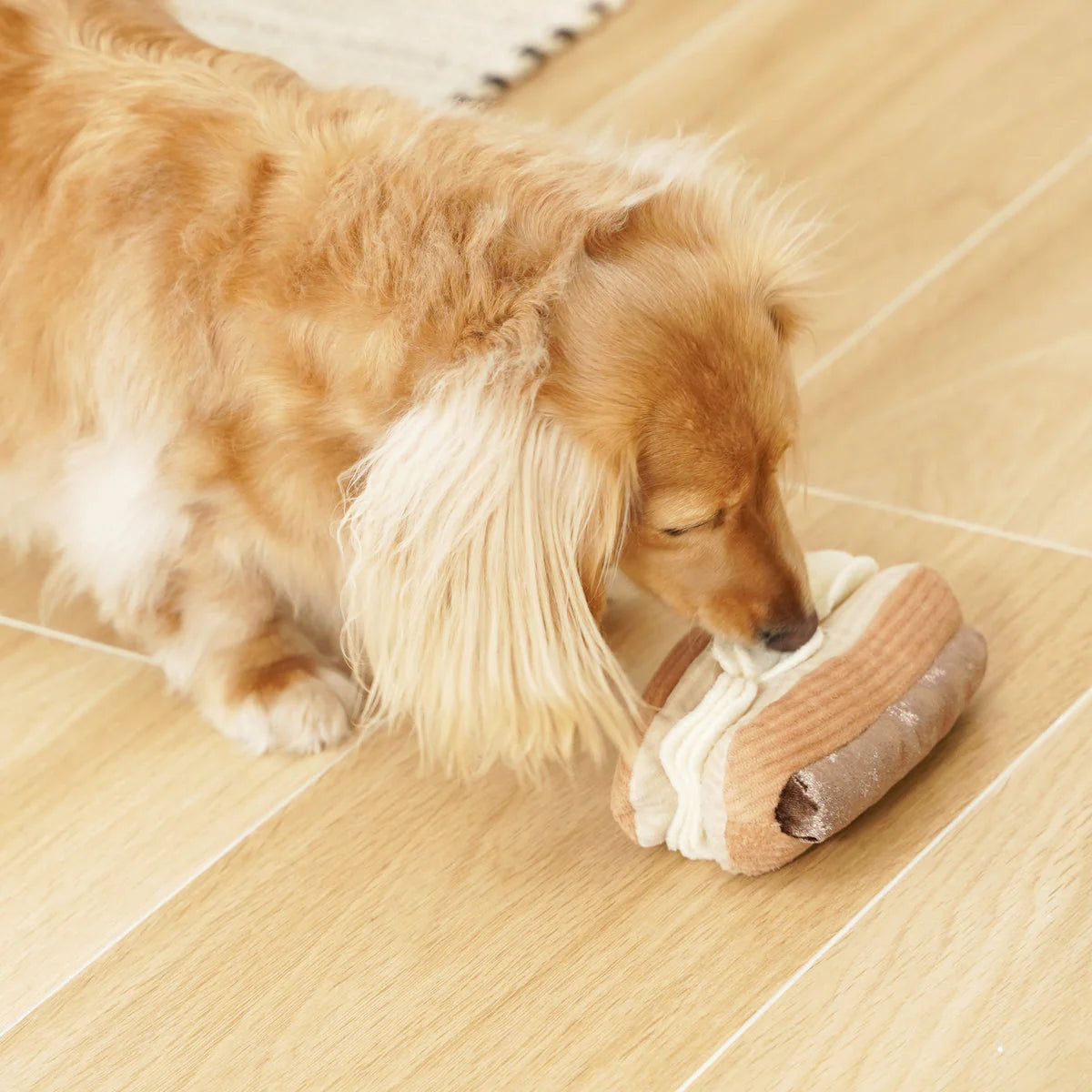 ECLAIR Squeaky + Snuffle Toy