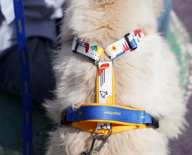 H-Type Harness