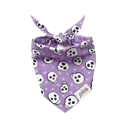 Bandanas - Roger