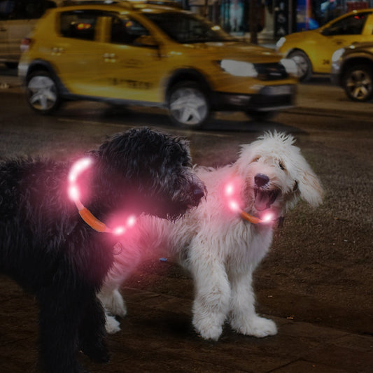 Luna F33 LED Collar Light