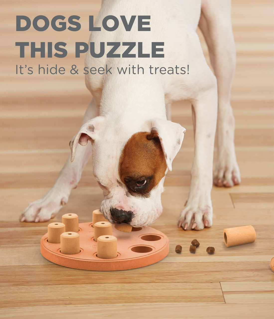 DOG PUZZLE GAME - DOG SMART Composite